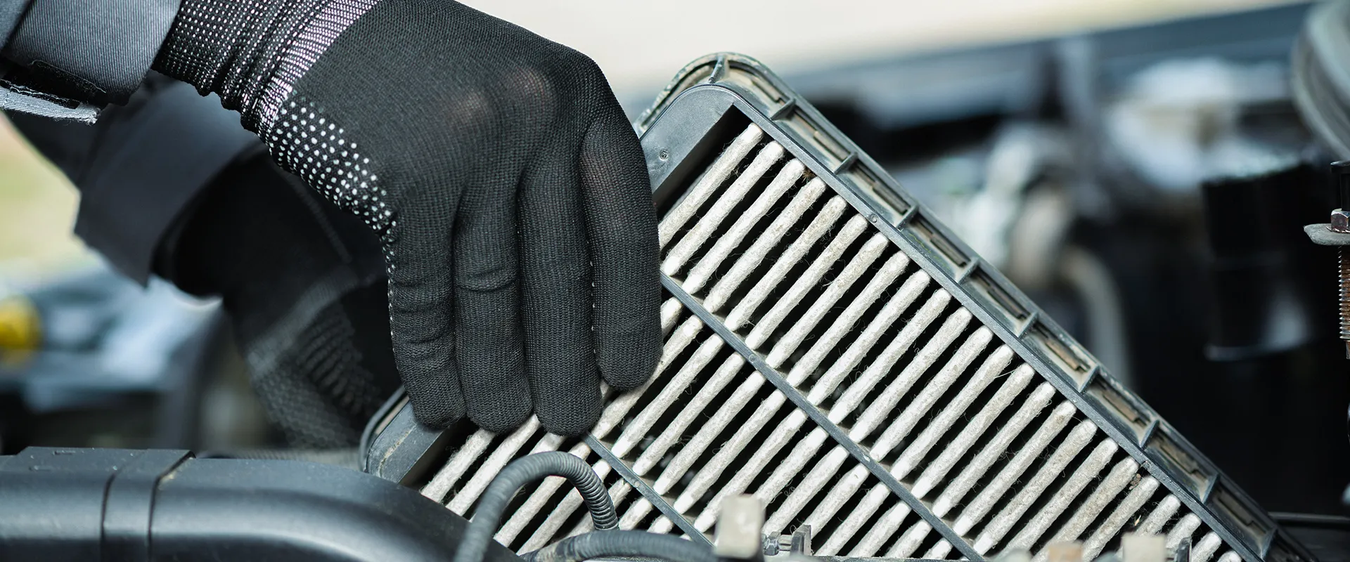 Auto Repair in Cedarbrae, AB near Calgary, AB